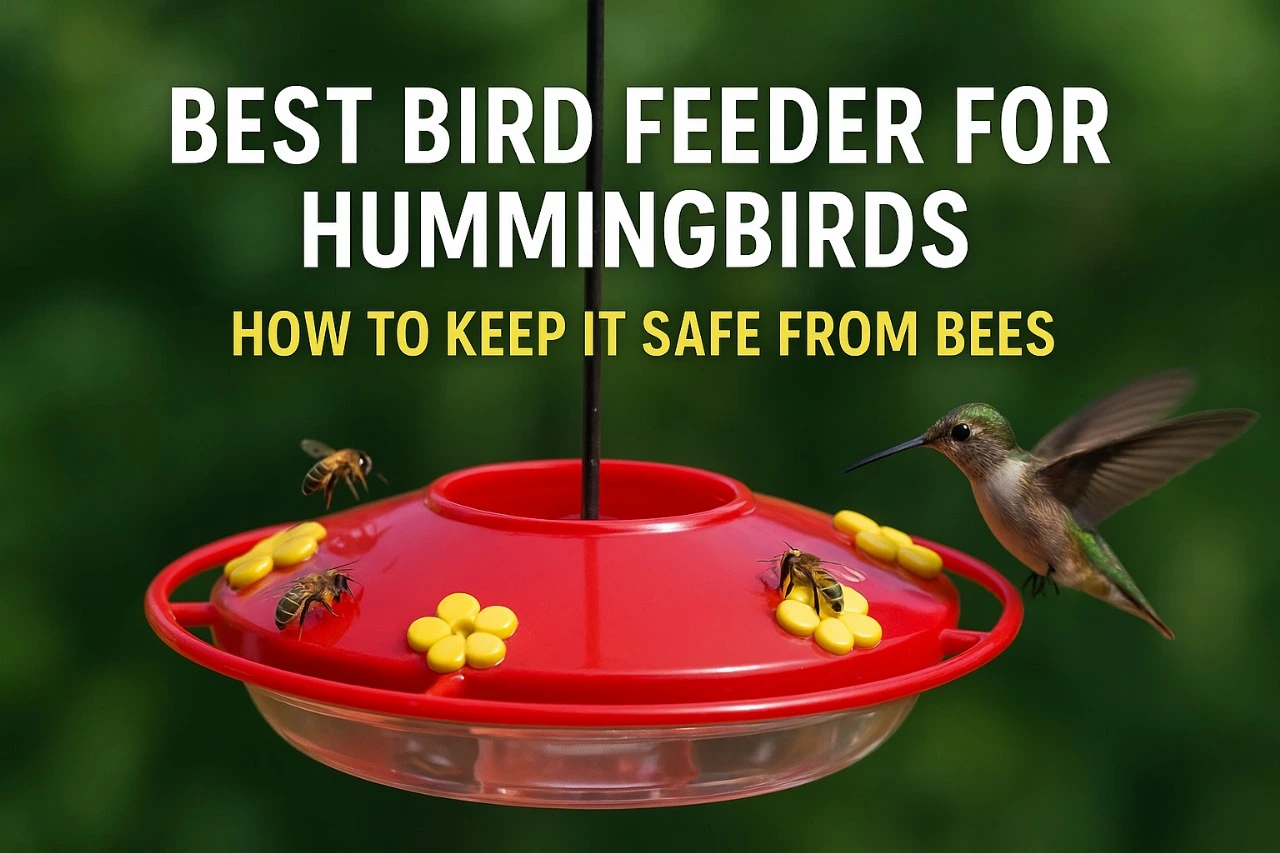 Hummingbird feeder with bee guard in a backyard garden