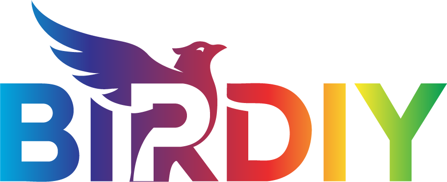 Birdiy Web Logo in White Background