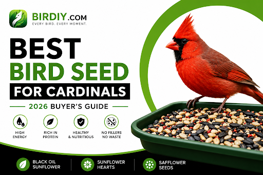 Best Bird Seed for Cardinals